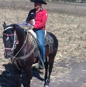 Meet your Posher, Cesar